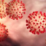 A zoomed-in look at the COVID-19 virus